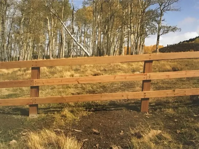 Estate Rail fence by AgriTek — installation example
