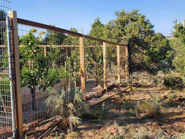 Post & Rail with Wire fence by AgriTek — installation example