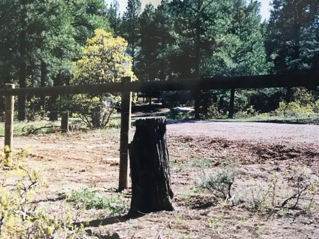 Wire Fence fence by AgriTek — installation example