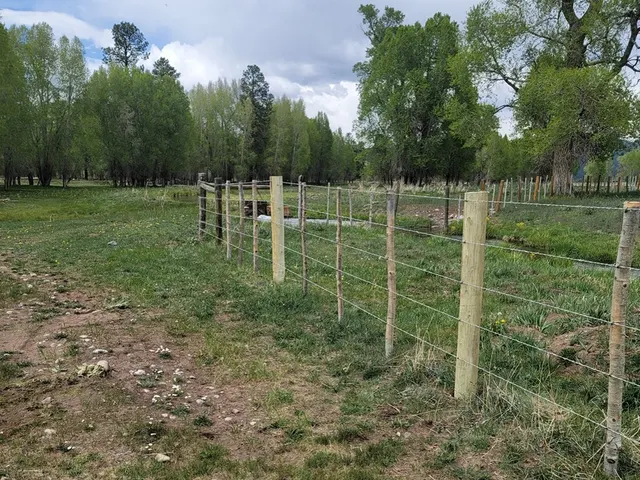 Wire Fence fence by AgriTek — installation example