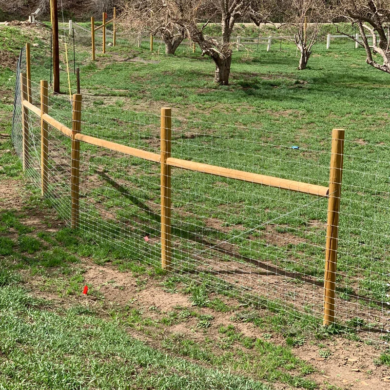 Wood post and wire field fence installed across an orchard meadow in the Four Corners region